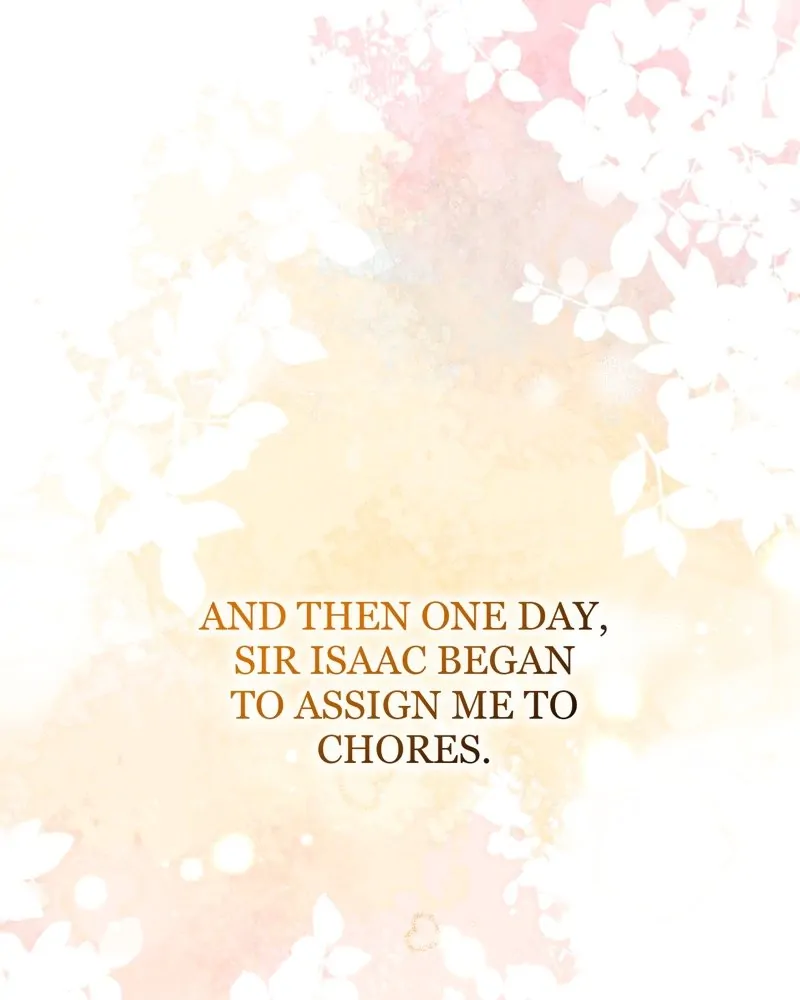 46529420 800 1000 27856